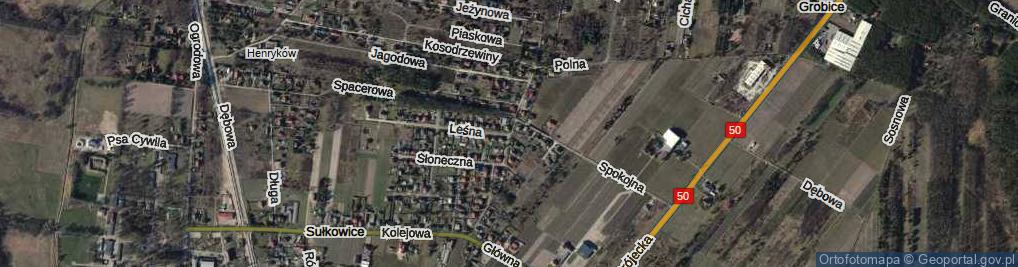 Zdjęcie satelitarne Pogodna ul.